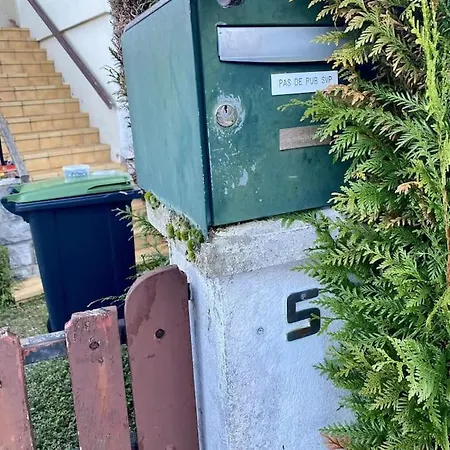 La Terrasse Du Fourcat 아파트 Saint-Paul-de-Jarrat